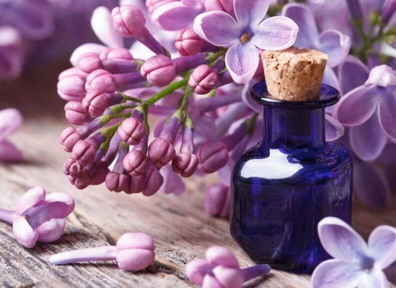 Tincture of lilacs
